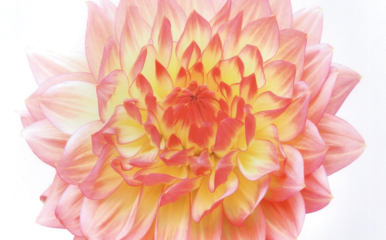 表参道・外苑前の美容院|Harris(ハリス)新卒採用 イベント 表参道・外苑前の美容院|Harris(ハリス)新卒採用 イベント