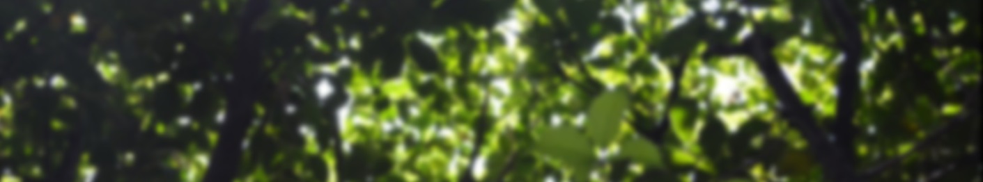 表参道・外苑前の美容院｜Harris（ハリス）サロン紹介・コンセプト